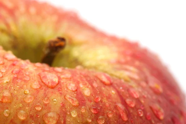 stock image Apple.