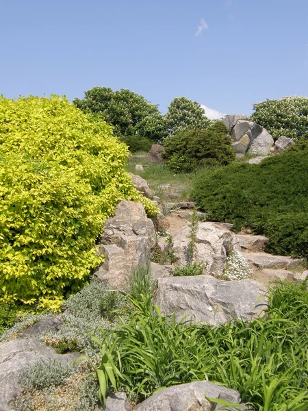 Piedra y árboles verdes — Foto de Stock
