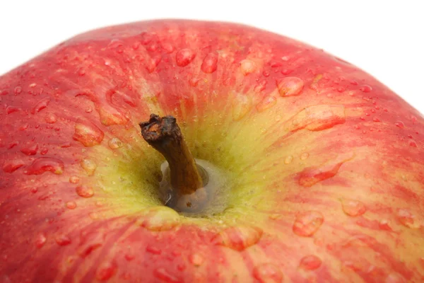 stock image Apple.