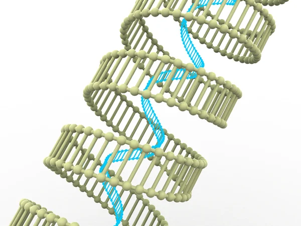 Gene in DNA. — Stock Photo, Image