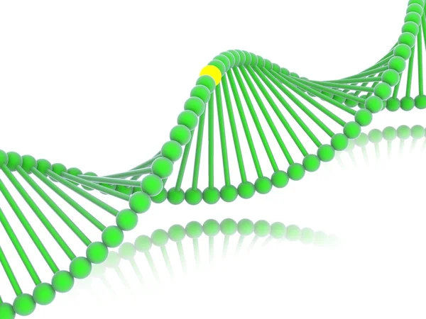 Gene in DNA. — Stock Photo, Image