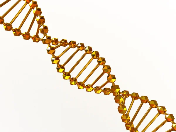stock image Gene in DNA.