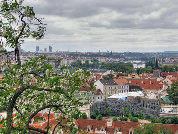 Stare Miasto. Praga. — Zdjęcie stockowe