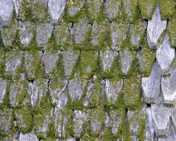 Altes Holzdach mit Moos bedeckt. — Stockfoto