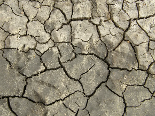 stock image Clay and the ground.