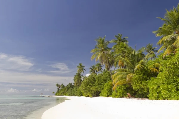 Scenę plaża w Malediwy — Zdjęcie stockowe