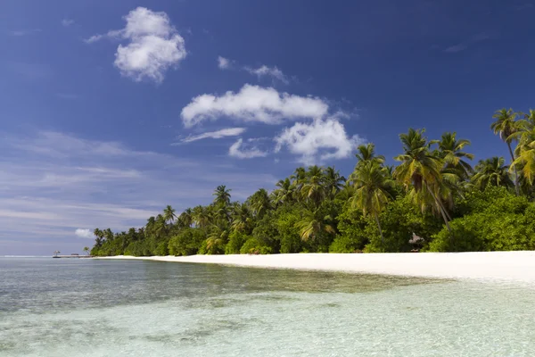 Сцена на пляже на Мальдивах — стоковое фото