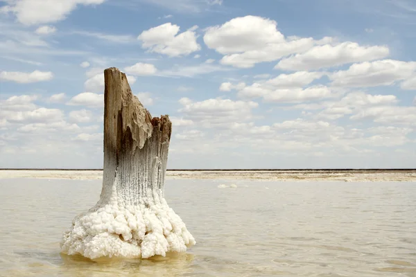 stock image Salt Lake Baskunchak, Russia