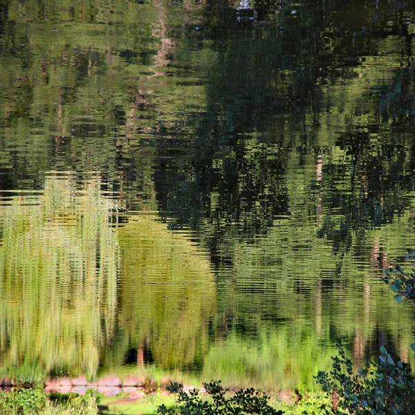 Отражение пруда как абстрактный естественный зеленый фон . — стоковое фото