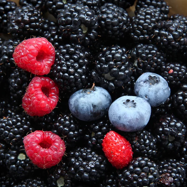 stock image Fresh berries.