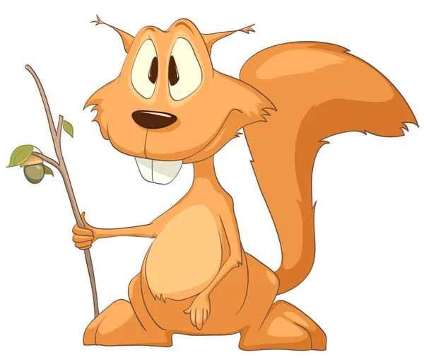 Σκίουρος χαρακτήρα κινουμένων σχεδίων — Διανυσματικό Αρχείο