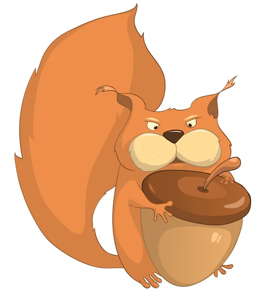 Cartoon Character Squirrel — Stock Vector