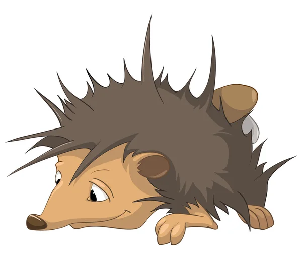 Cartoon Character Hedgehog — Stock Vector
