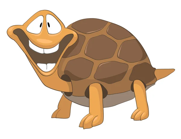 Tecknad karaktär sköldpadda — Stock vektor