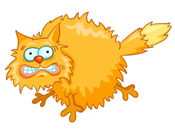 Cartoon Character Cat — Stock Vector