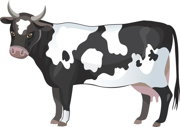 Fekete-fehér tehén — Stock Vector