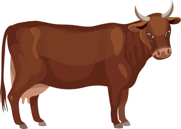 Vaca vermelha — Vetor de Stock