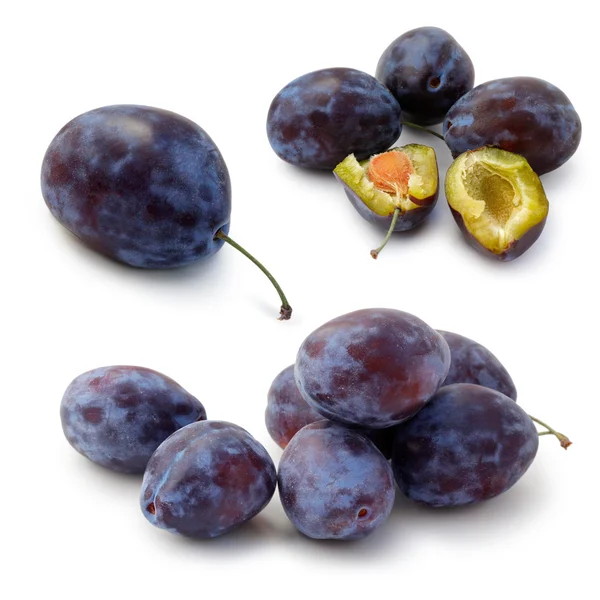 Set of plums — Stock Photo, Image