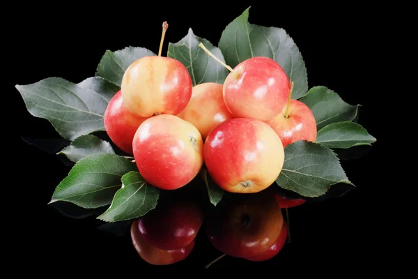 Яблоки — стоковое фото