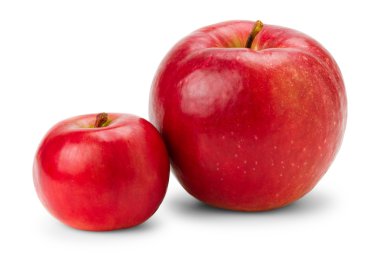 büyük ve küçük elma beyaz