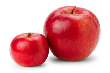 Big and small apples on white clipart