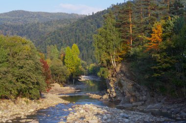 River in mountain forests clipart