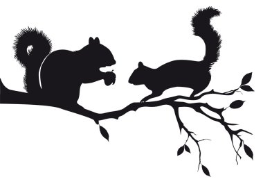 Squirrels on tree, vector clipart