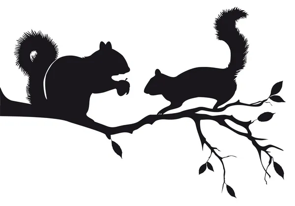 Esquilos na árvore, vetor — Vetor de Stock