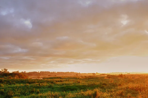 stock image Summer morning