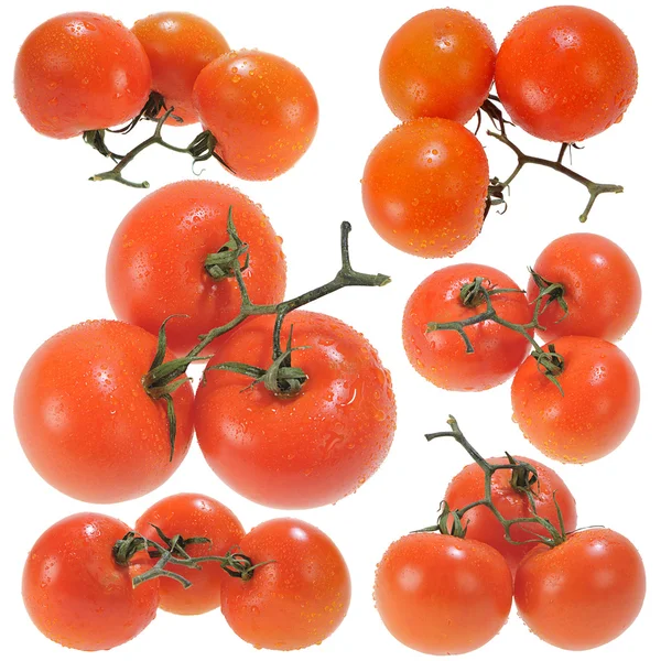 Three Red Tomatoes — Stock Photo, Image