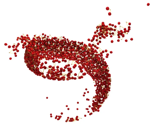 Reife Früchte: Rote Kirschen fließen isoliert — Stockfoto