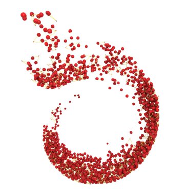 Red cherry flow isolated on white clipart