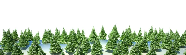 分離された firtree 森林景観 — ストック写真