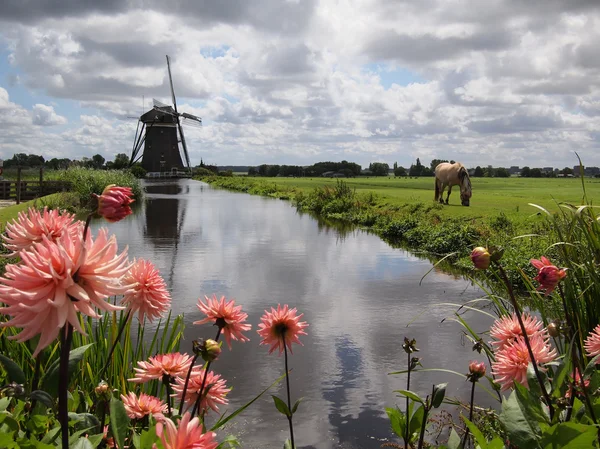 Paisagem do moinho de vento na Holanda — Fotografia de Stock