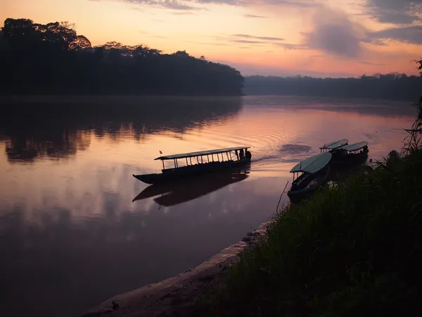 Amazonka deštný prales sunrise — Stock fotografie