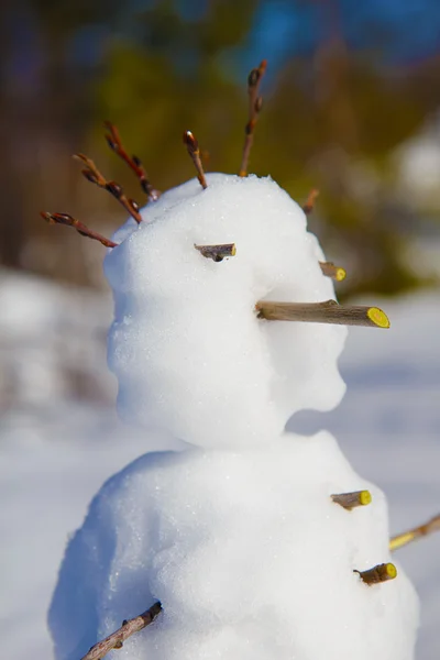 Ritratto di pupazzo di neve — Foto Stock