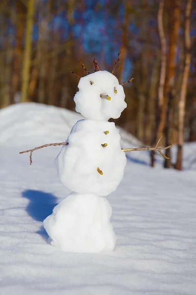 stock image Snowman