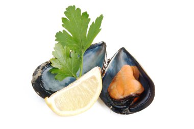 Mussel lemon and parsley clipart