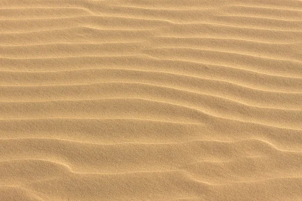 stock image Sand background