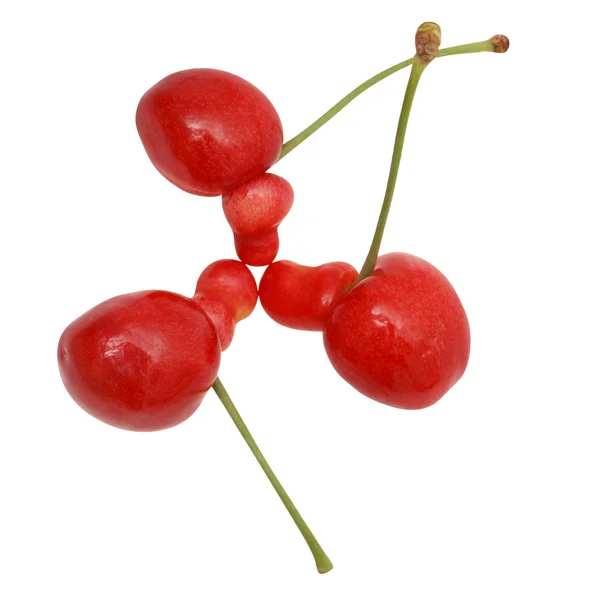 Unusual cherries — Zdjęcie stockowe