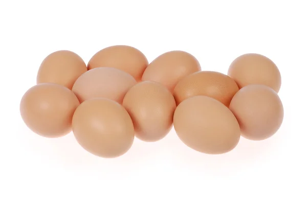11 个鸡蛋 — 图库照片