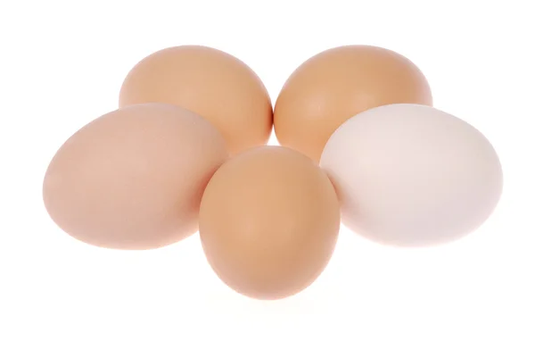 Five eggs. One egg white. — Stock Photo, Image