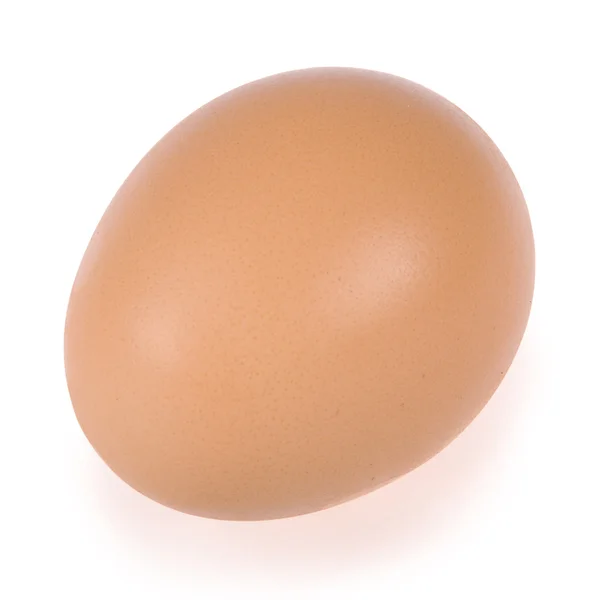 One egg — Stock Photo, Image