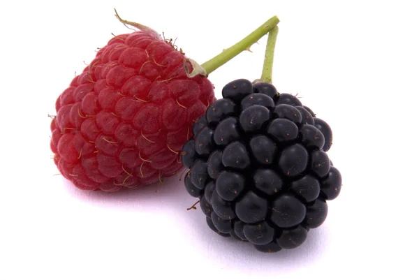 Raspberries and blackberries — Stock Photo, Image
