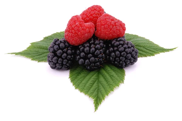 Raspberries and blackberries on the green leaves — Stock Photo, Image