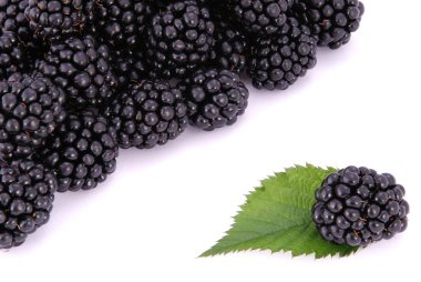 BlackBerrys ile yapraklar