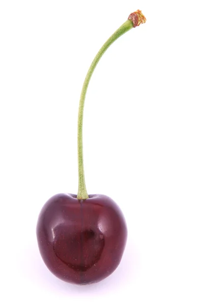 Una ciliegia rossa — Foto Stock