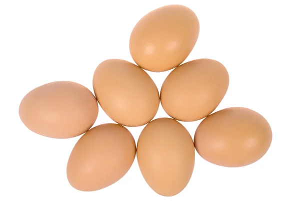 Seitsemän munaa — kuvapankkivalokuva