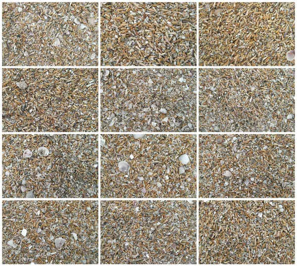 Muscheln und Sand — Stockfoto