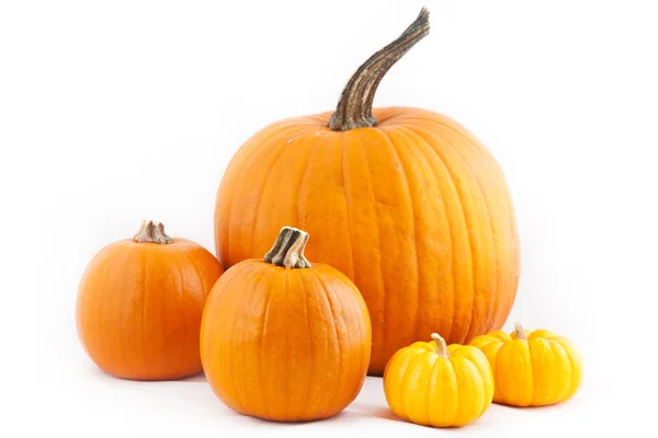 stock image Many orange halloween pumpkins